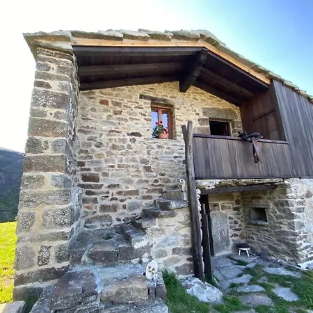 Tinones Pasiega Valcaba